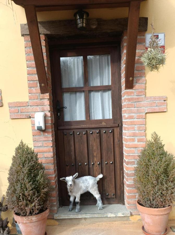 Carroceu Rural Daire Onís Dış mekan fotoğraf